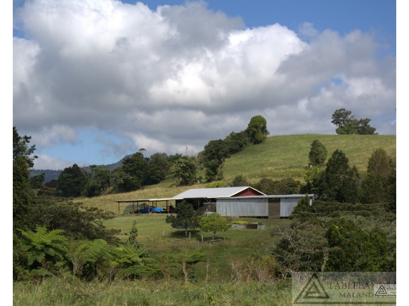 Millaa Millaa QLD 4886