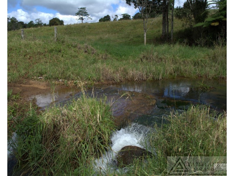 Millaa Millaa QLD 4886