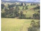 Millaa Millaa QLD 4886