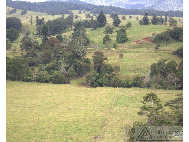 Millaa Millaa QLD 4886