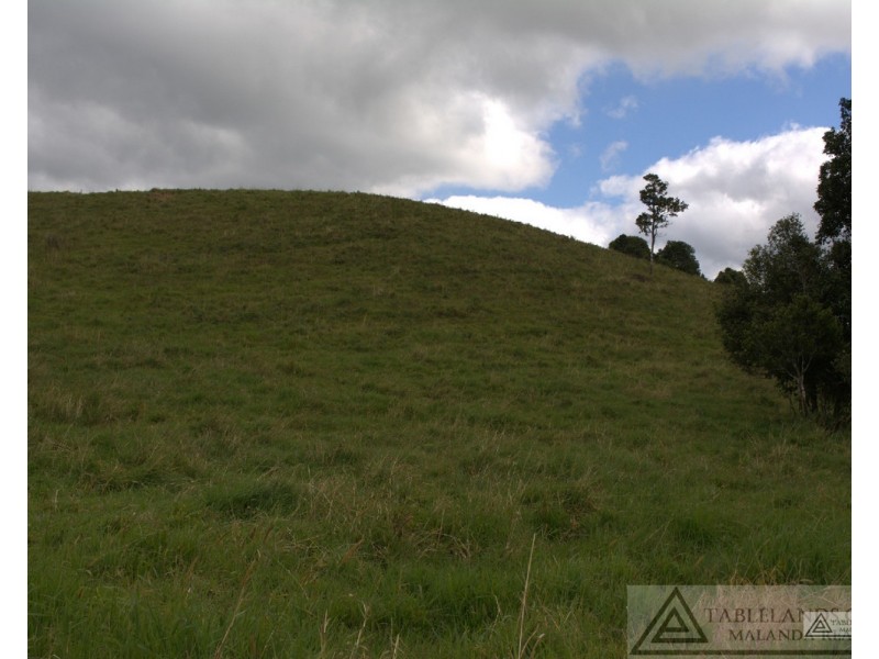 Millaa Millaa QLD 4886