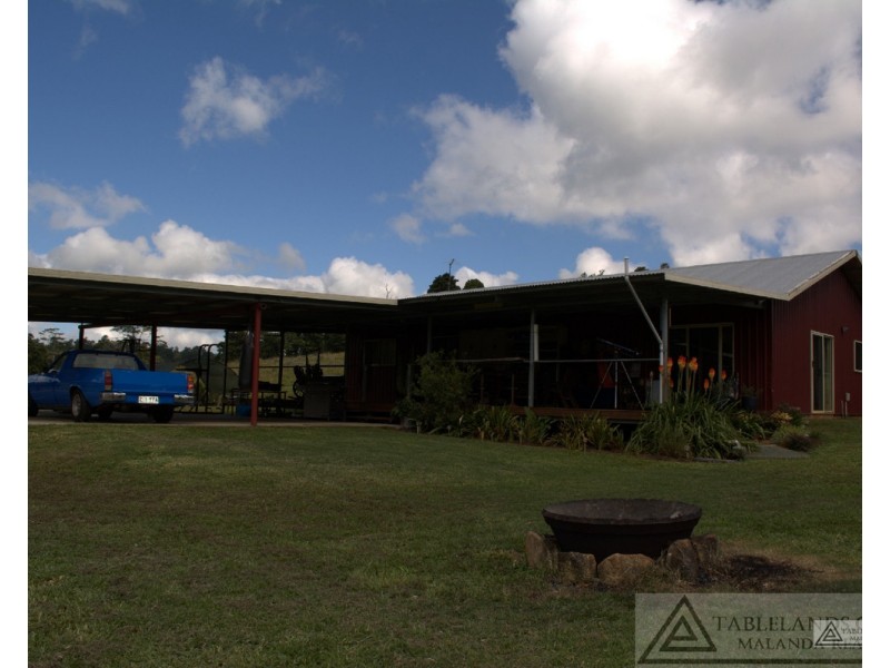 Millaa Millaa QLD 4886