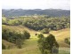 Millaa Millaa QLD 4886