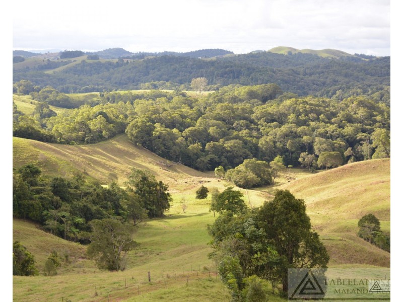 Millaa Millaa QLD 4886