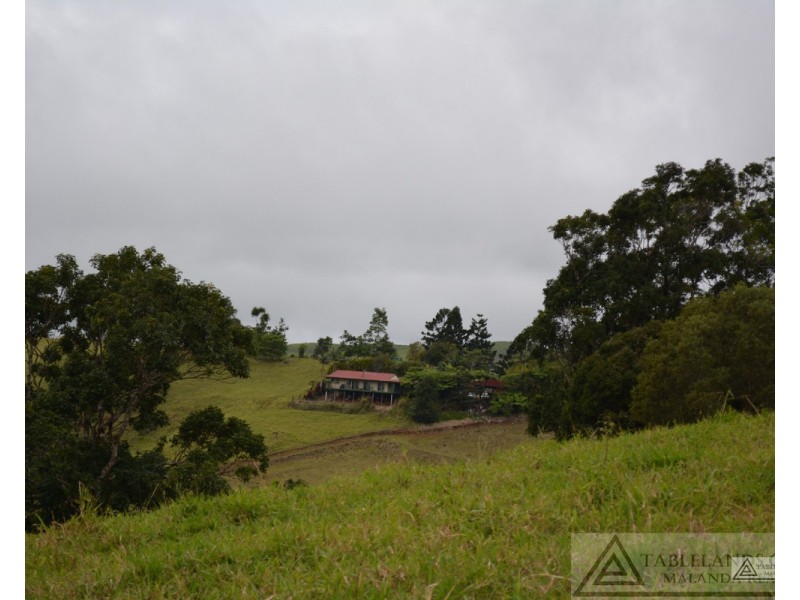 Millaa Millaa QLD 4886