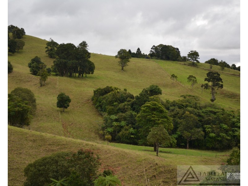 Millaa Millaa QLD 4886