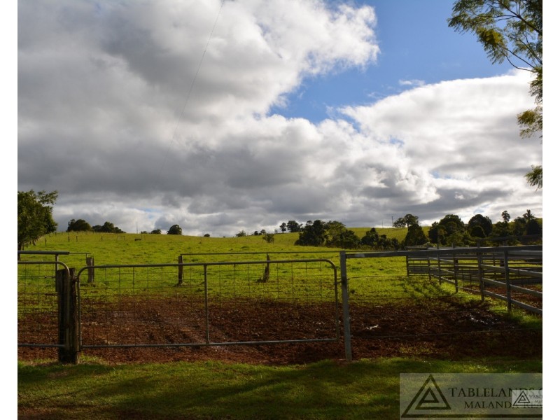 Millaa Millaa QLD 4886