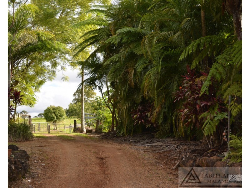 Millaa Millaa QLD 4886