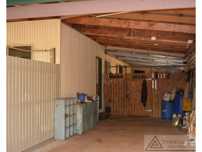 Millaa Millaa QLD 4886