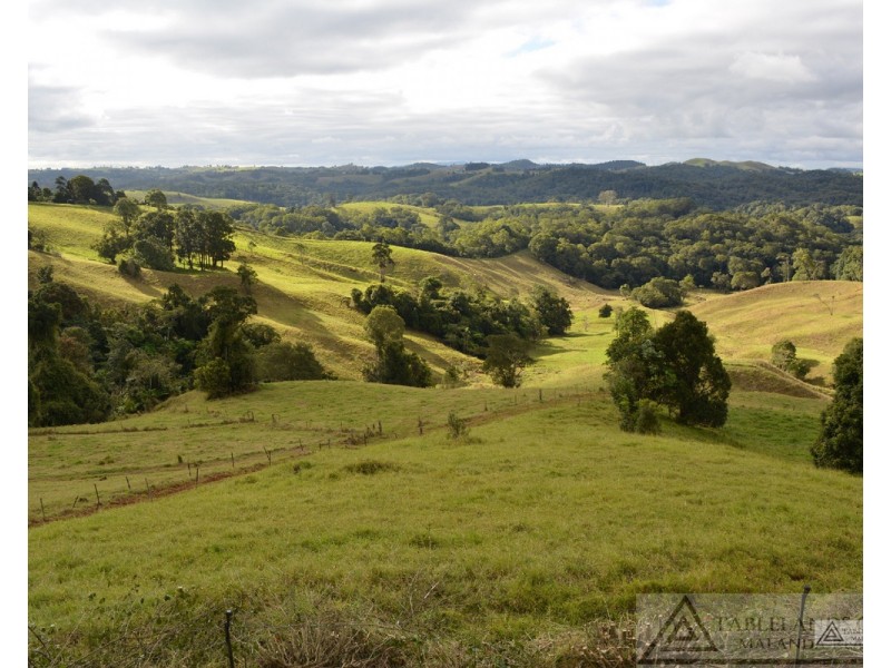 Millaa Millaa QLD 4886