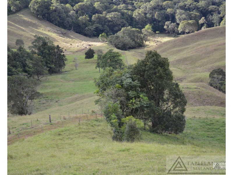 Millaa Millaa QLD 4886