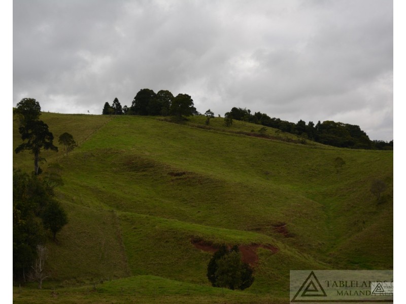 Millaa Millaa QLD 4886