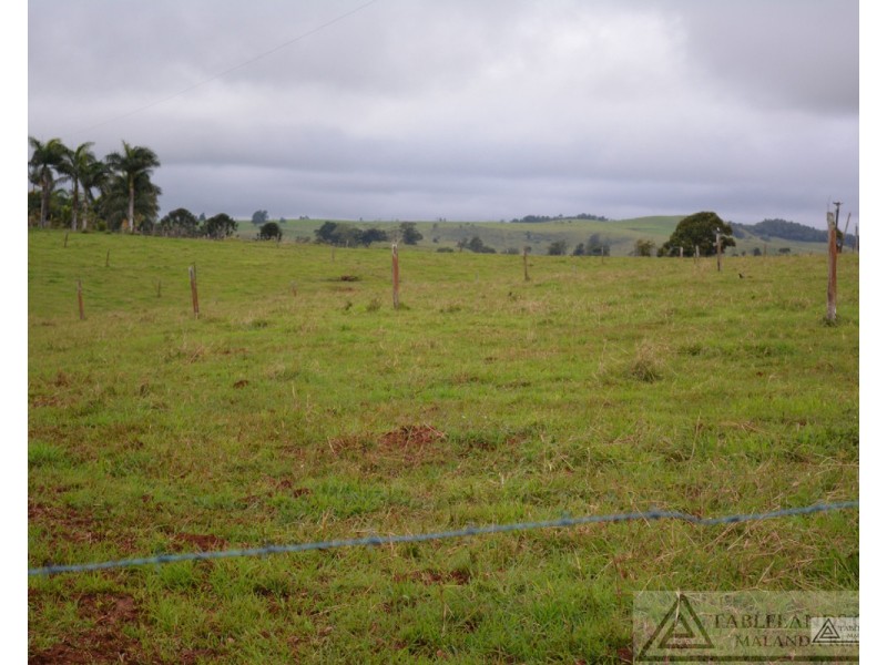 Millaa Millaa QLD 4886
