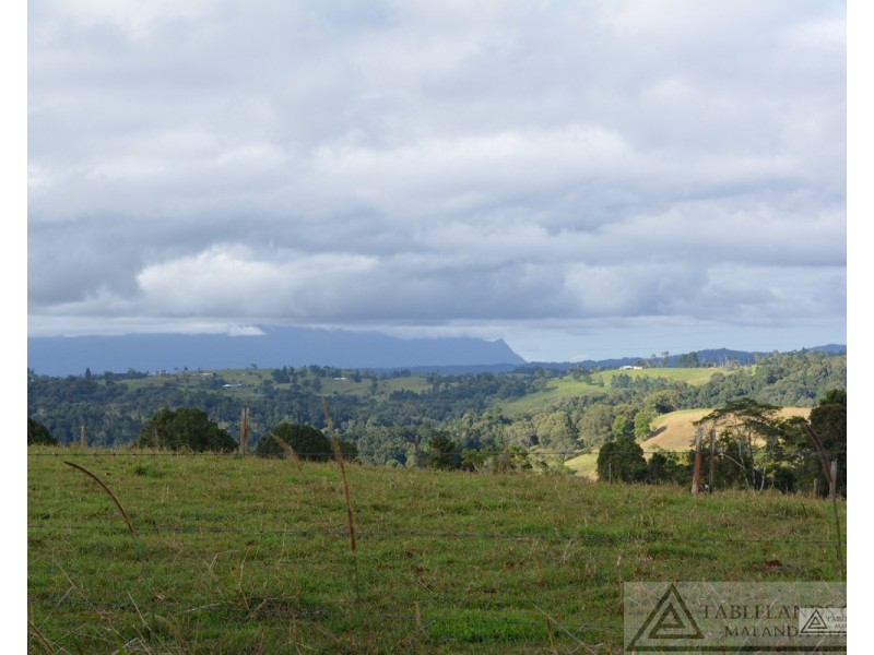 Millaa Millaa QLD 4886