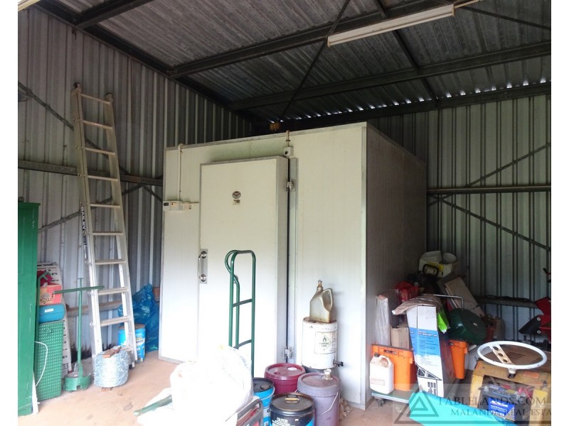 Lake Barrine QLD 4884