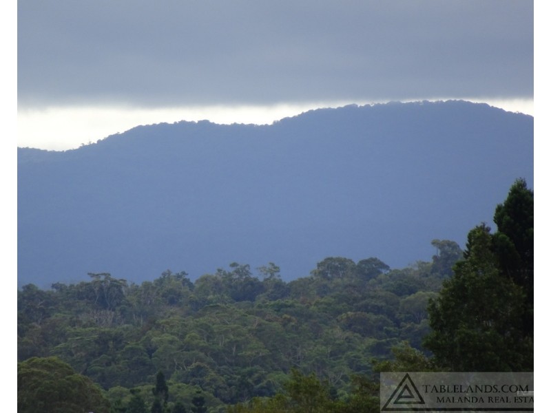 Lake Barrine QLD 4884