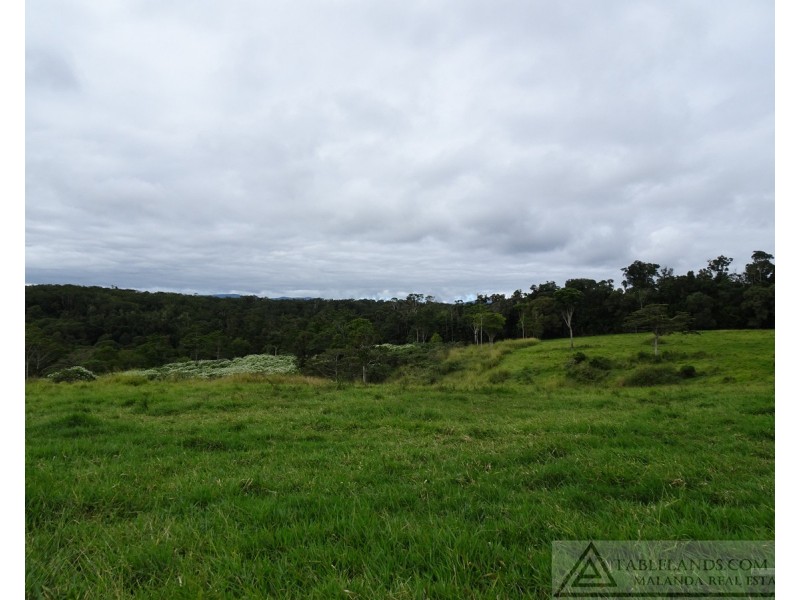 Lake Barrine QLD 4884
