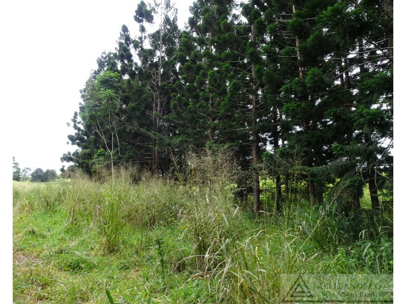Lake Barrine QLD 4884
