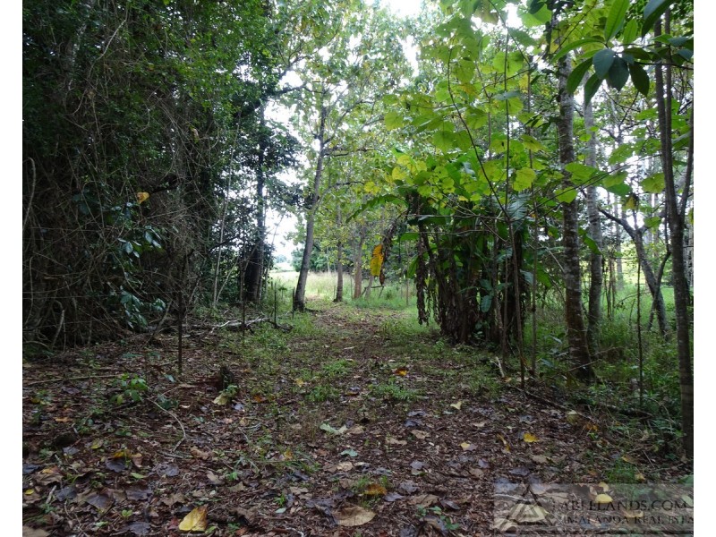 Lake Barrine QLD 4884