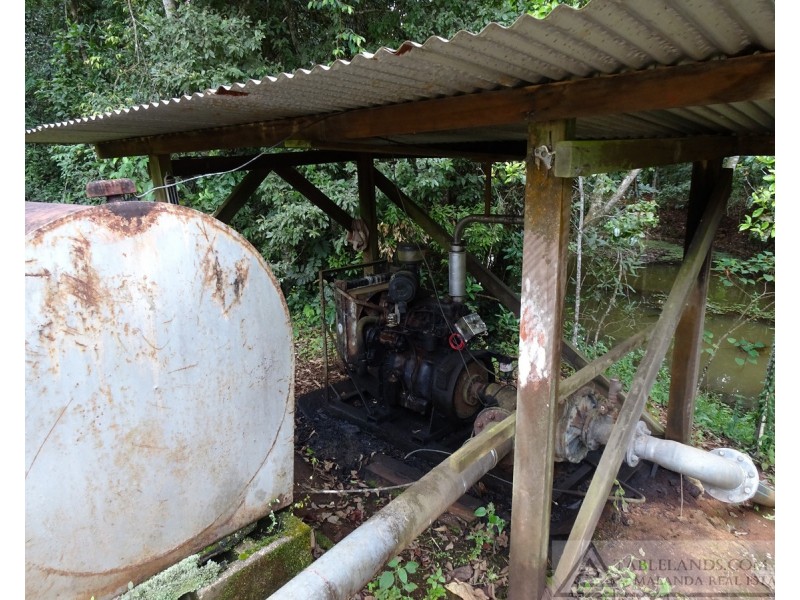 Lake Barrine QLD 4884