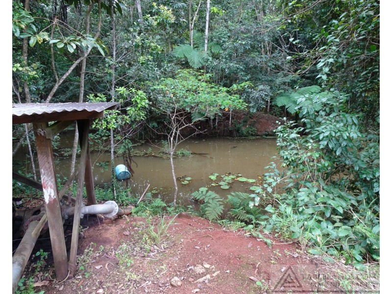 Lake Barrine QLD 4884