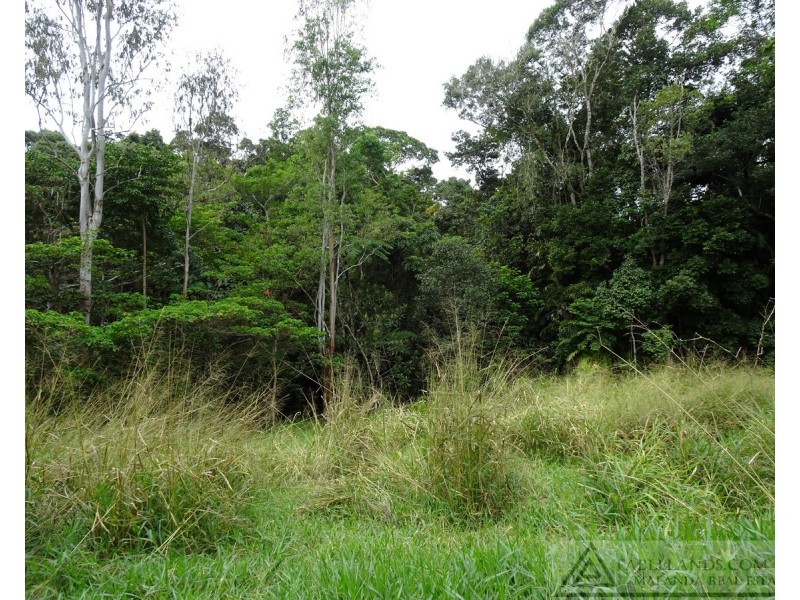 Lake Barrine QLD 4884