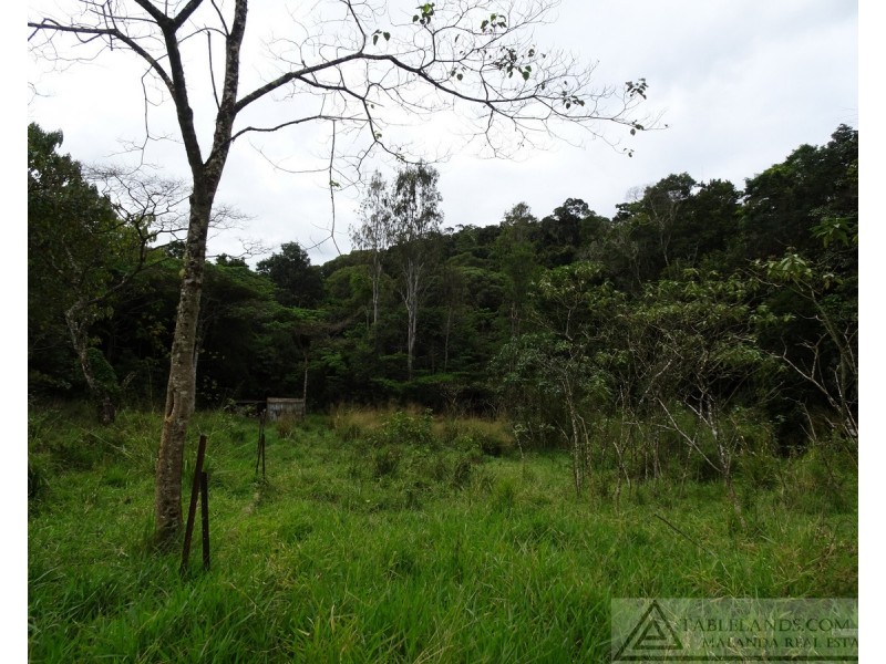 Lake Barrine QLD 4884