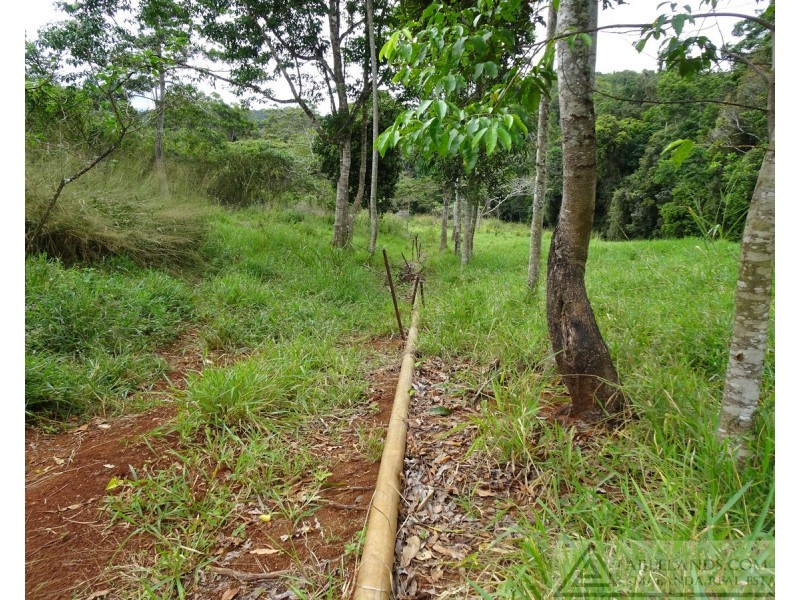 Lake Barrine QLD 4884