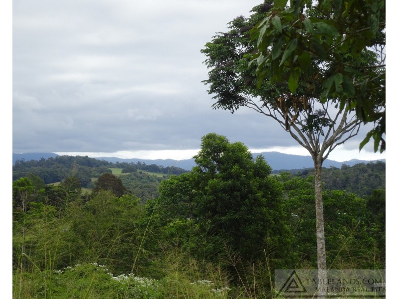 Lake Barrine QLD 4884