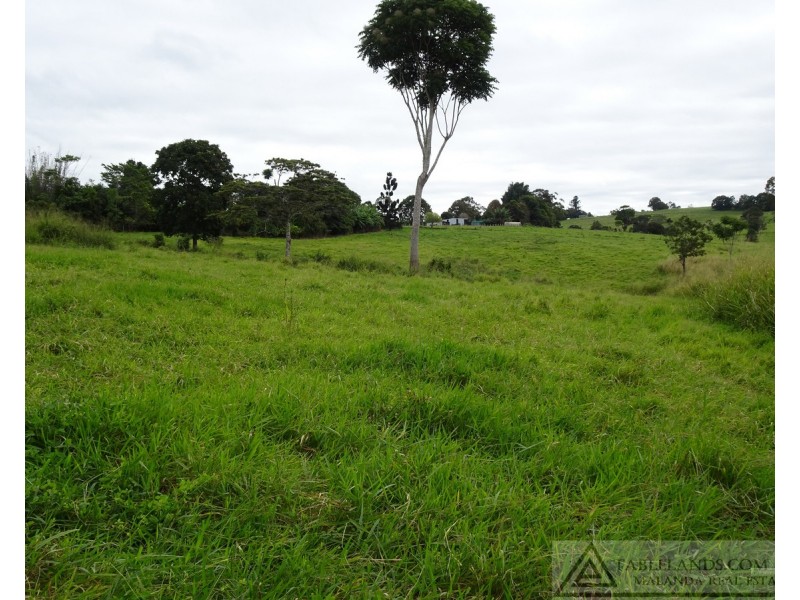 Lake Barrine QLD 4884