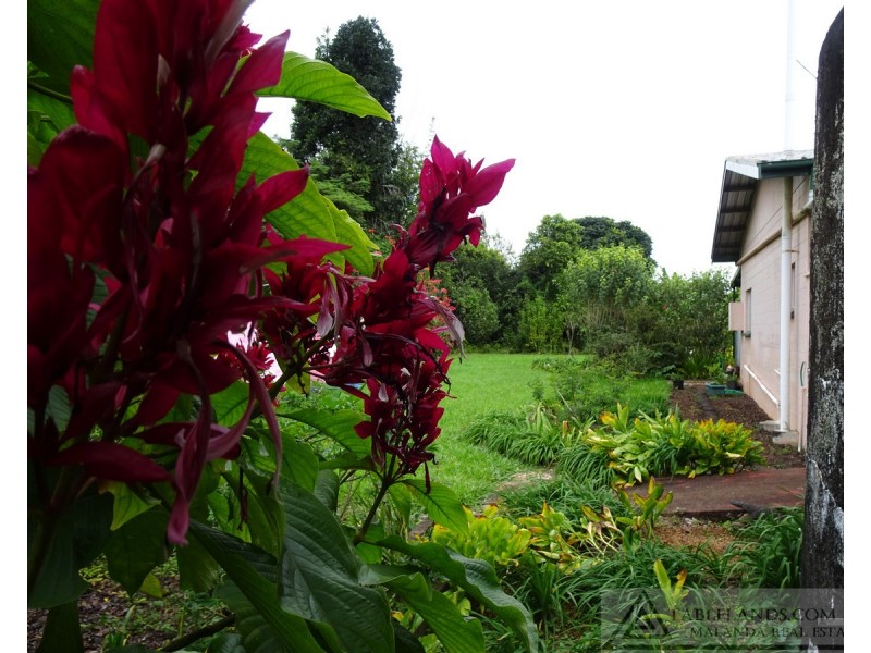 Lake Barrine QLD 4884