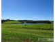 Yungaburra QLD 4884
