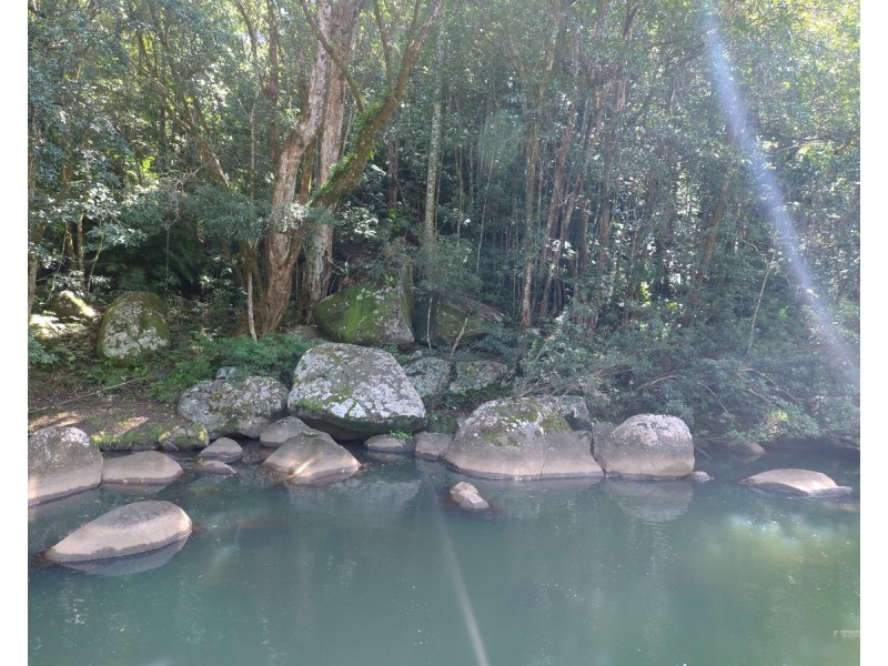Millaa Millaa QLD 4886