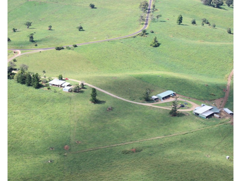 Millaa Millaa QLD 4886