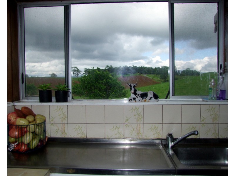 Millaa Millaa QLD 4886