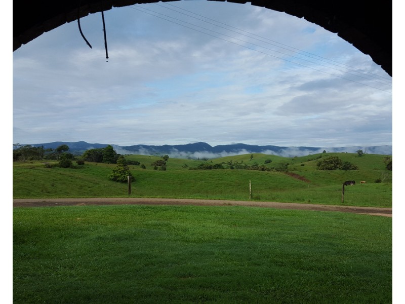 Millaa Millaa QLD 4886