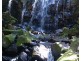 Millaa Millaa QLD 4886