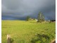 Millaa Millaa QLD 4886