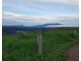 Millaa Millaa QLD 4886
