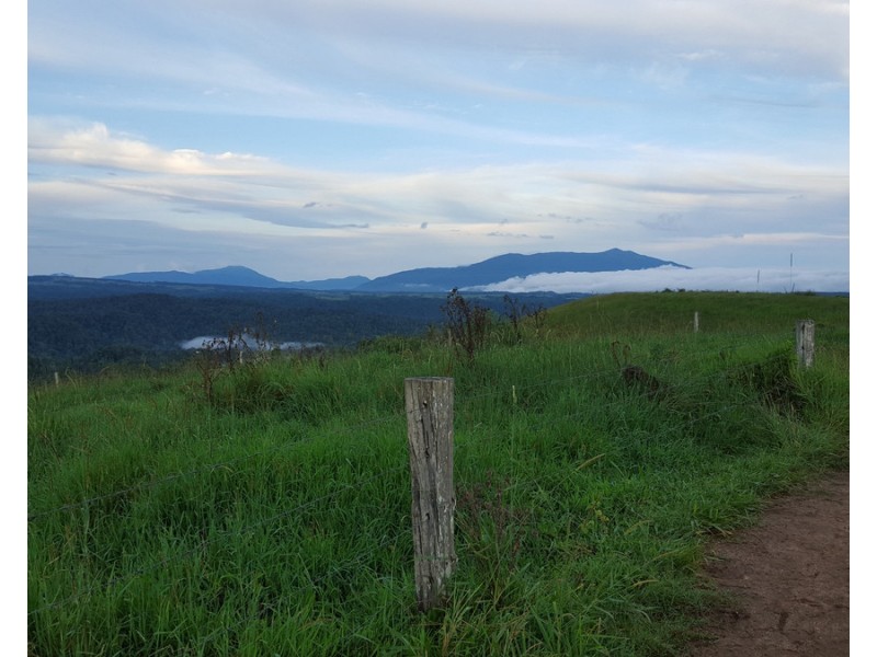 Millaa Millaa QLD 4886