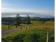 Millaa Millaa QLD 4886