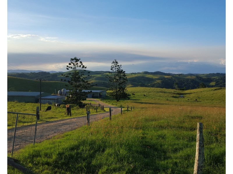 Millaa Millaa QLD 4886