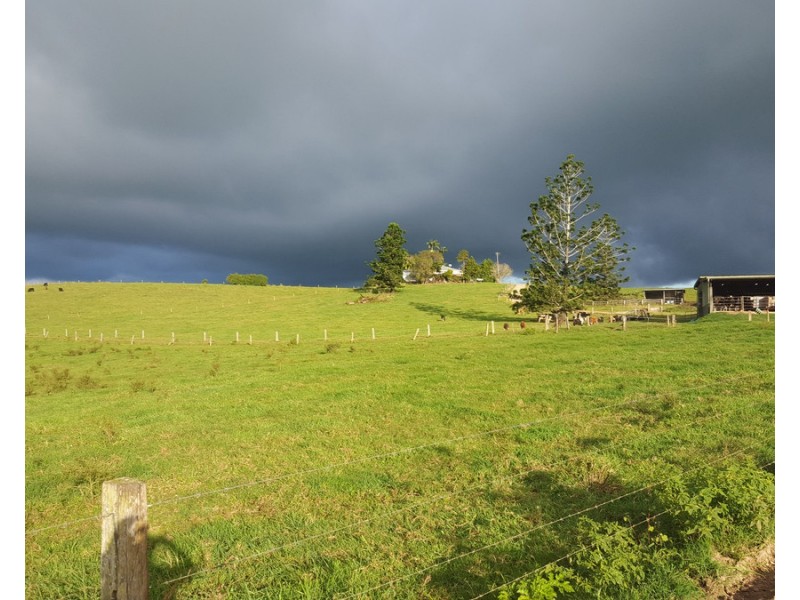 Millaa Millaa QLD 4886