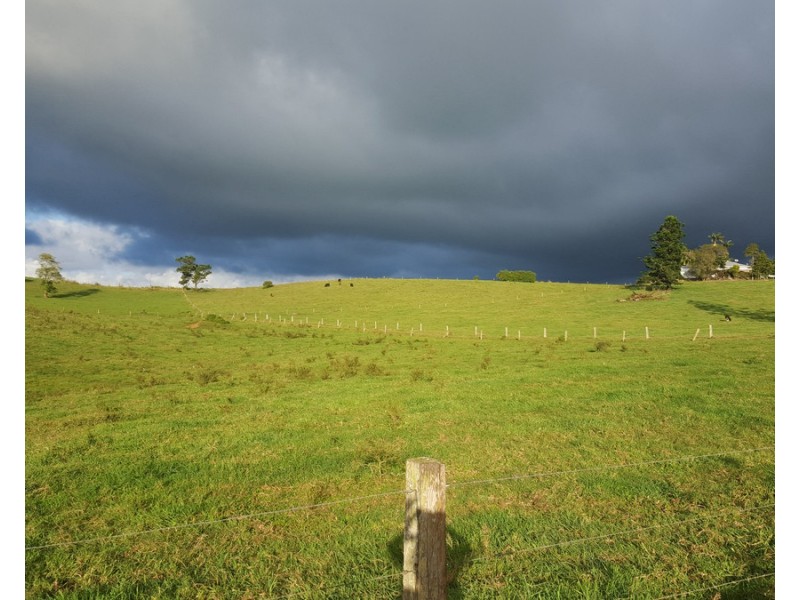 Millaa Millaa QLD 4886