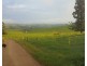 Millaa Millaa QLD 4886
