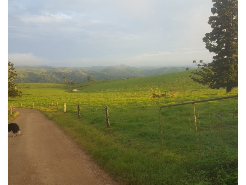 Millaa Millaa QLD 4886