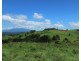 Millaa Millaa QLD 4886