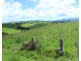 Millaa Millaa QLD 4886