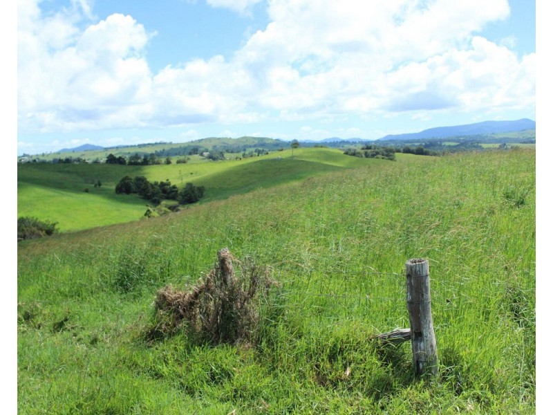 Millaa Millaa QLD 4886