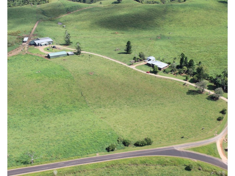 Millaa Millaa QLD 4886